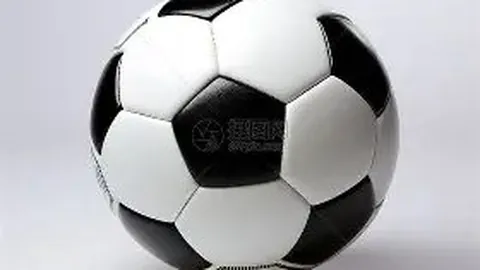 郑钦文网球女单首进16强，刷新个人最佳战绩